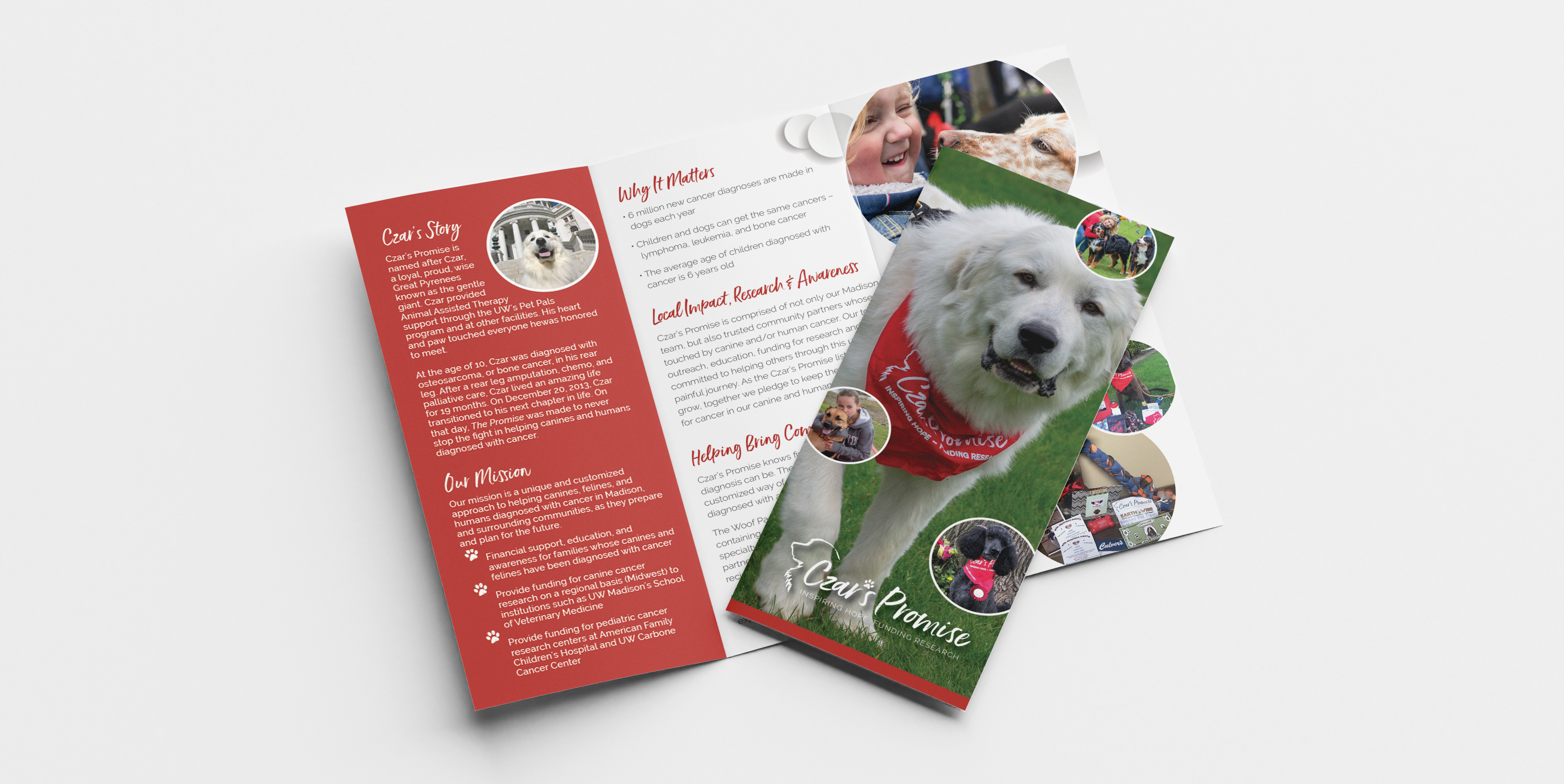 Czar's Promise collateral print brochure