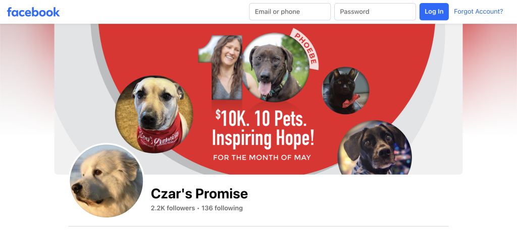 Czar's Promise Facebook banner