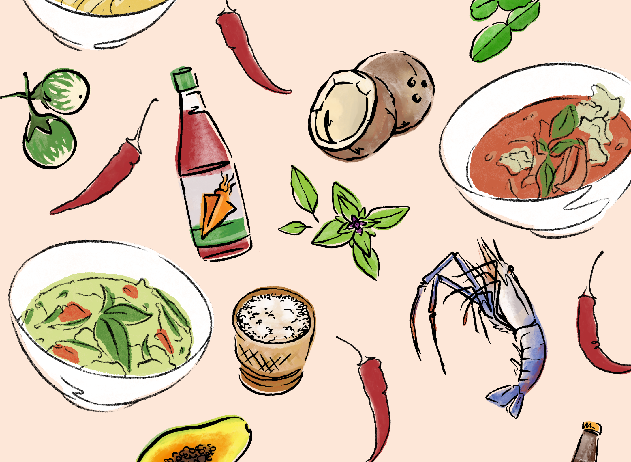 Nara Thai restaurant food curry illustrations